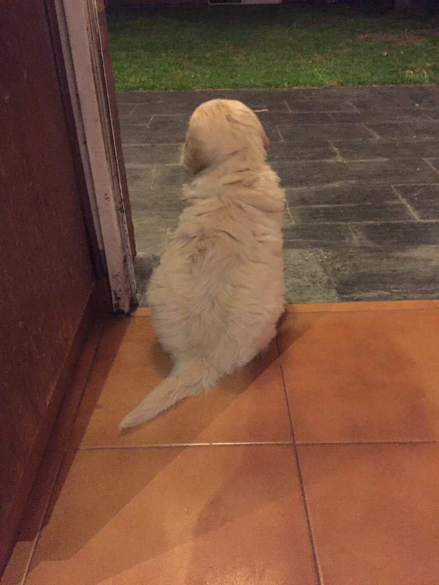 Hogwartssite's tweet image. - ¿Me das un beso?
- No.
- ¿Estás enfadada?
- No.
- ¿Vamos a ver una película de Harry Potter?
-