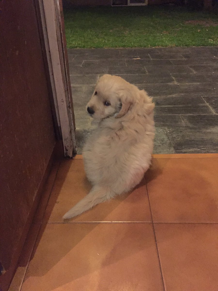 Hogwartssite's tweet image. - ¿Me das un beso?
- No.
- ¿Estás enfadada?
- No.
- ¿Vamos a ver una película de Harry Potter?
-