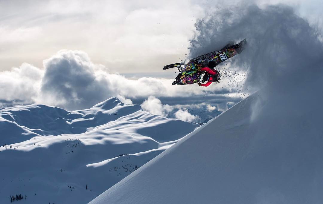 Brain Farm tweet media