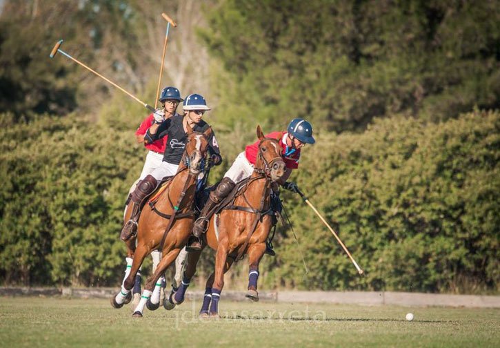 polonewsok's tweet photo. #CoronelSuarezPC Con 10 equipos dio comienzo la Copa Cesar Reguera en Coronel Suarez Polo Club https://t.co/5XUDPlmy4g Ph JDeLusarreta https://t.co/nSqDwcnzH8