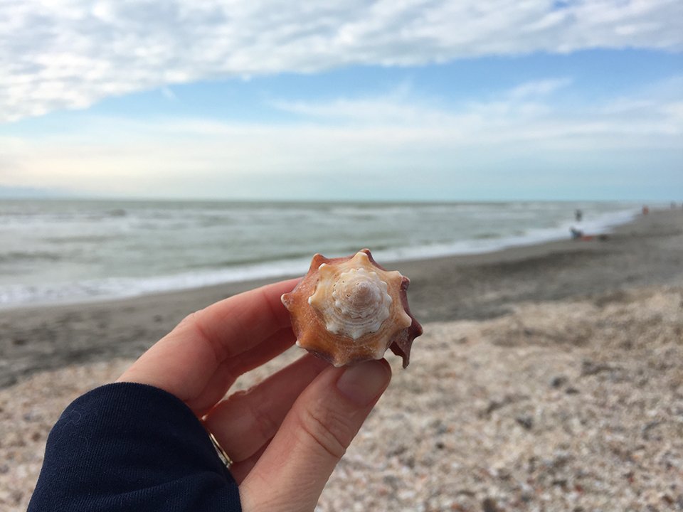 HemlockhillRV's tweet photo. Shelling, Biking &amp; Beaches: Camping On Sanibel Island - https://t.co/sKvBBQpDZE https://t.co/fUnUNXvEOZ