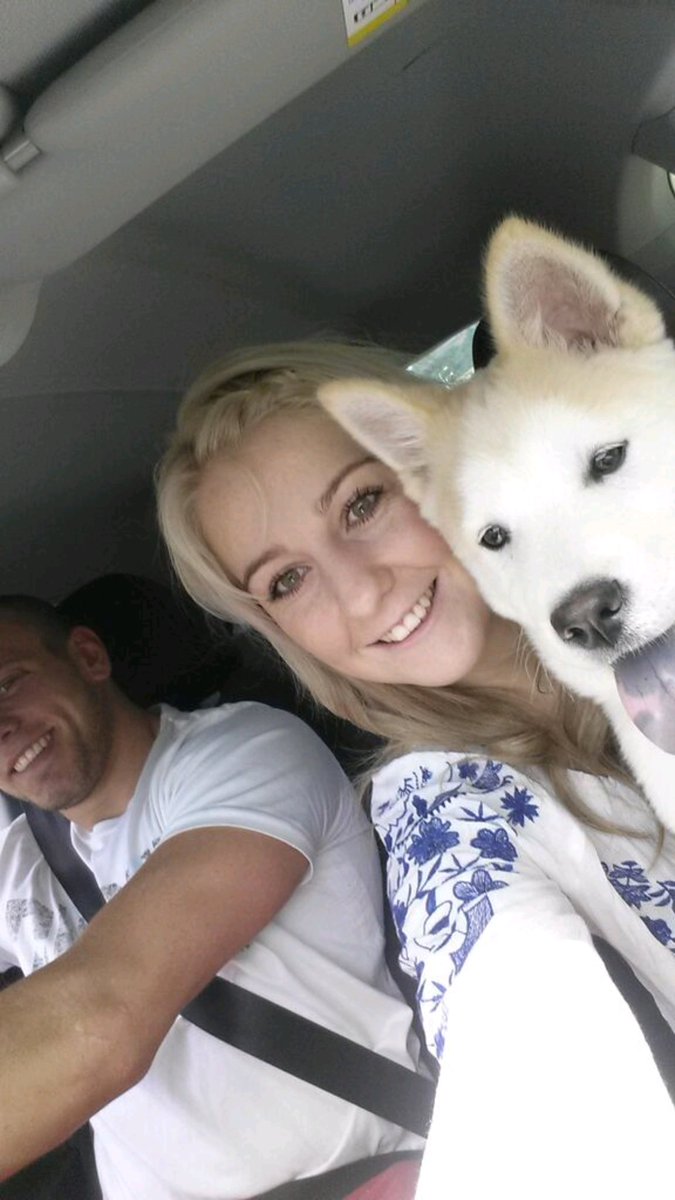 AldoChowsky's tweet photo. Love our road trip 🐕🚗 #dogslife #dogsoftwitter #fortheloveofdogs #roadtrip #chowsky https://t.co/N1IzvaziOK