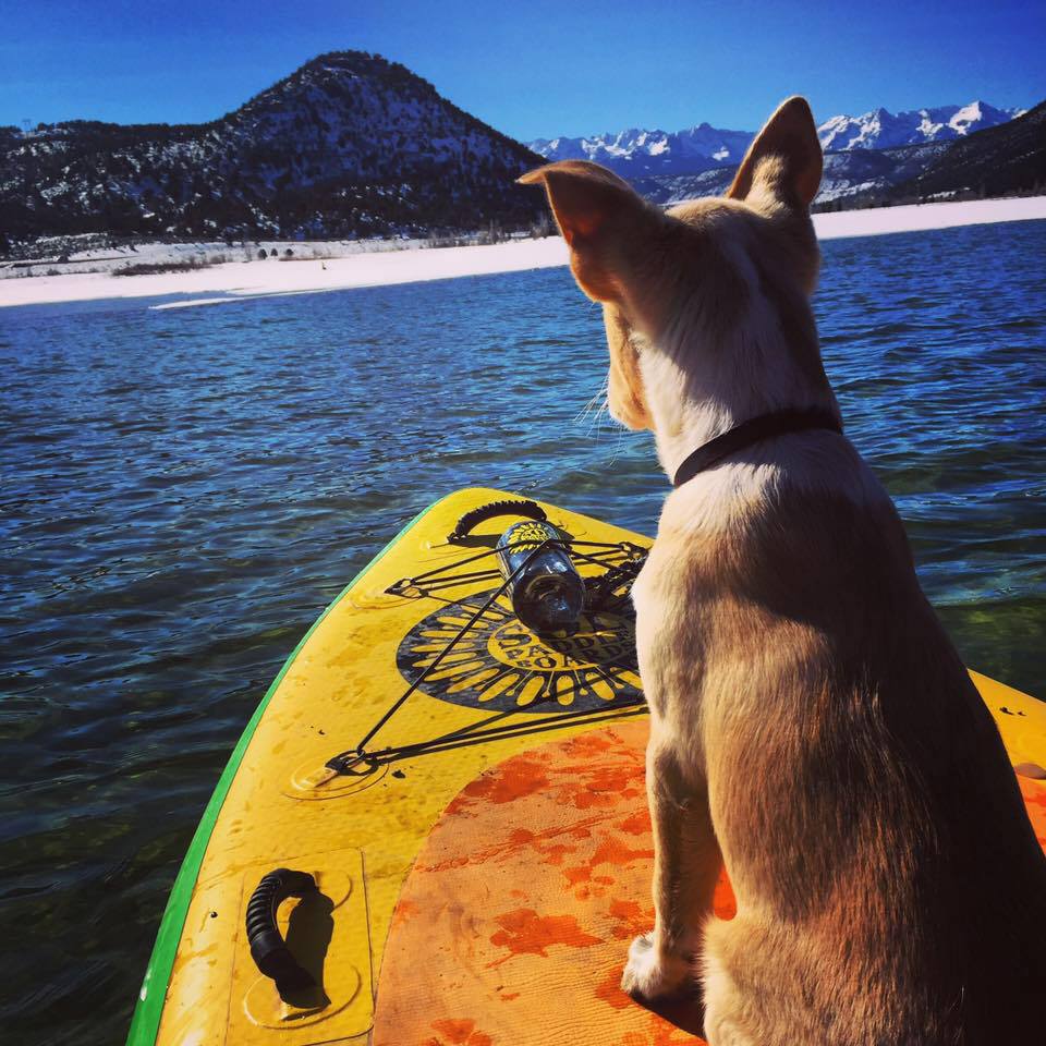 #Spring is around the corner and we just couldn't wait.  #PaddlewithSOL #wintersup #lakeside #standuppaddle