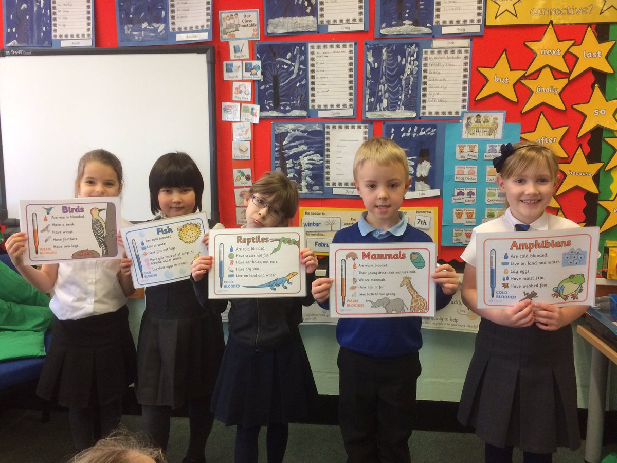 DeanburnPS_P3C's tweet image. Classifying animals today - see photo for the class debate on whether a crocodile is a reptile or mammal!  The reptiles won! #sortingfun 🐊