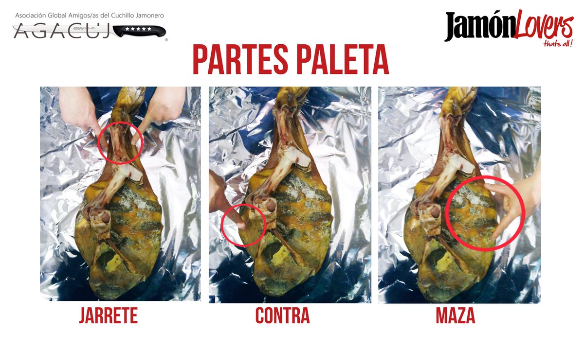 Jamon_Lovers's tweet photo. Primer capítulo: El corte de la paleta, partes y huesos, colocación en jamonero y primera incisión https://t.co/6ooBguW2bT @agacujjamon https://t.co/kgp8XBaZti