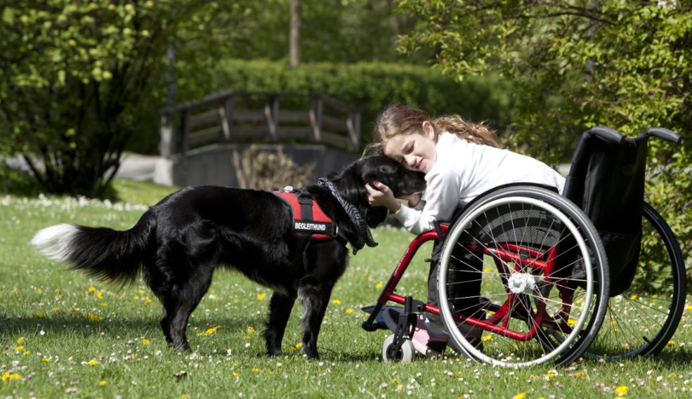 AStep2getherGA's tweet photo. They are partners in her life. Making it an easier world to navigate. #Pets #abilitypartner #Accessibility https://t.co/1msUjTmVN8