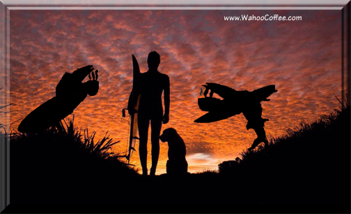 Wahoo Coffee tweet media