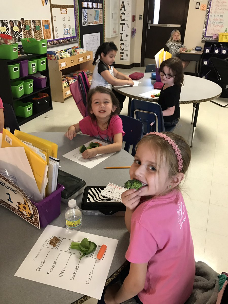 Launching our MARIO ALU with edible plants in kindergarten. Yummy!