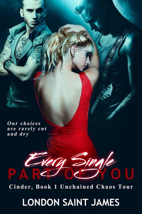 The_TBR_Pile's tweet photo. Retweet this tweet and enter to win Every Single Part of you by @LSJRomance! https://t.co/j5RF0CHDJQ #contest #giveaway #romance #freebook https://t.co/op4WyBrjUE