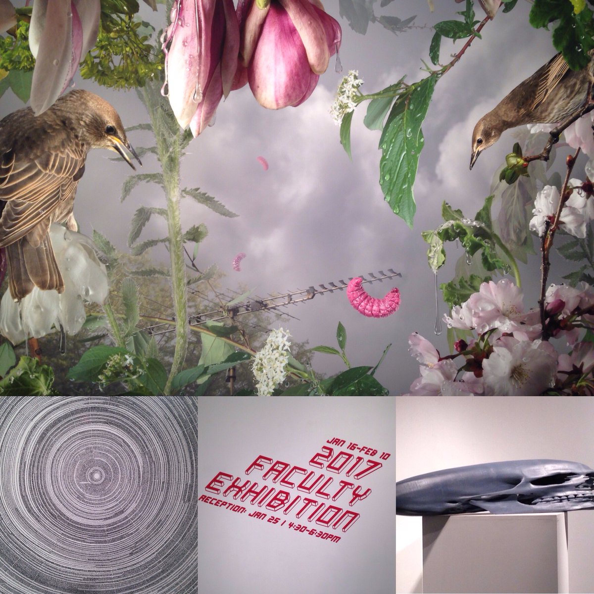 The University Gallery is hosting the 2017 Faculty Exhibition. Take a look at the art pieces before the 10th of FEB #emucreative #emuart