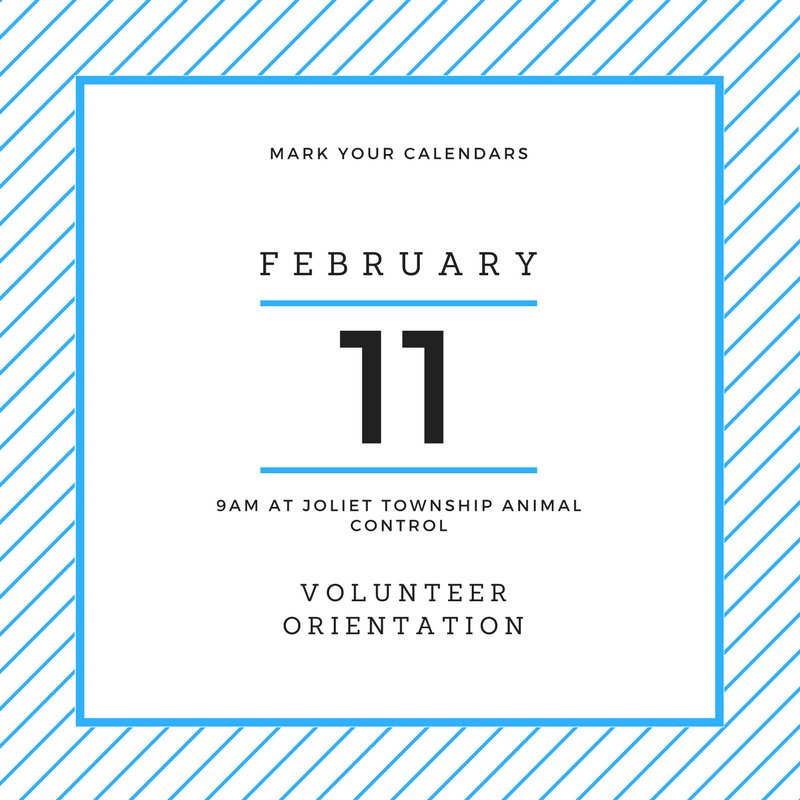 JTAnimalControl's tweet image. 