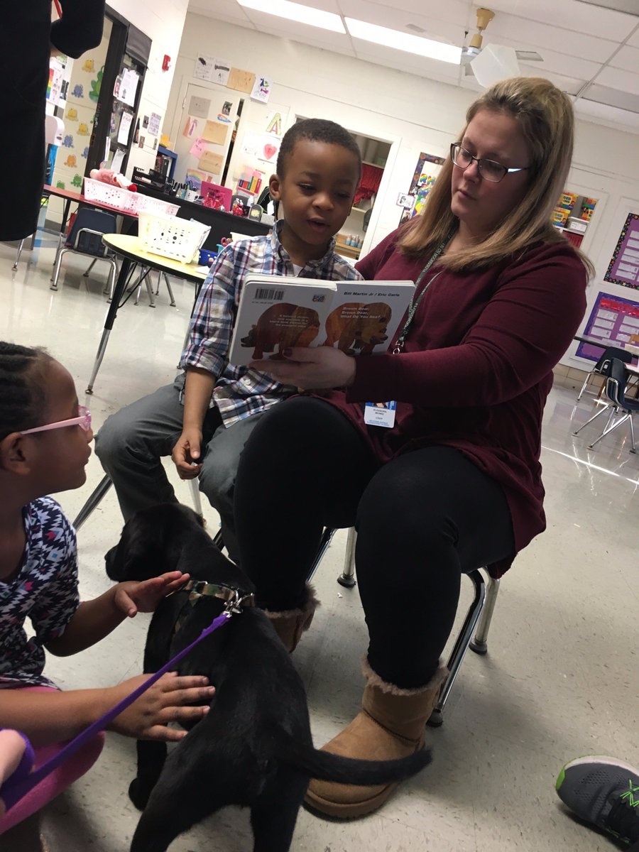 EleanoraLilly1's tweet photo. EC had the chance to "Read with the Dogs!" They loved meeting these little pups and enjoyed sharing literacy!@Flossmoor161  @WesternAve161 https://t.co/rMIOyY9Mzy