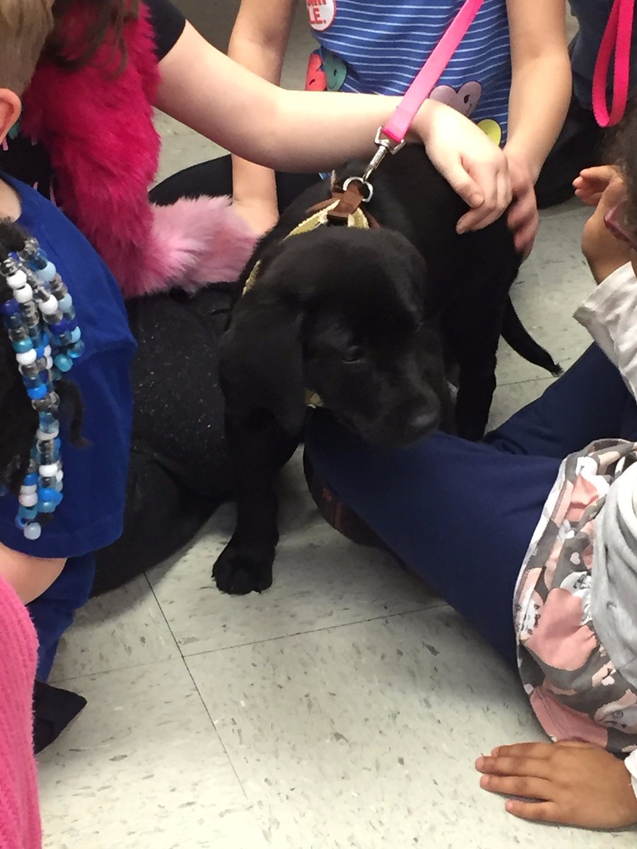 EleanoraLilly1's tweet photo. EC had the chance to "Read with the Dogs!" They loved meeting these little pups and enjoyed sharing literacy!@Flossmoor161  @WesternAve161 https://t.co/rMIOyY9Mzy