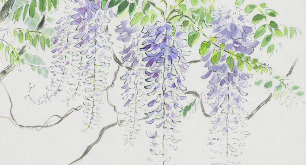 Download Animation Backgrounds On Twitter Kaguya Hime No Monogatari Isao Free Get Wallpaper Animation Backgrounds On Twitter Kaguya Hime No Monogatari Isao For Android