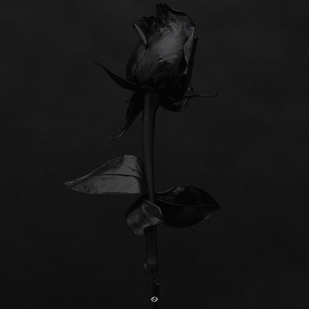 SparkSunderland's tweet photo. This week's #FoundCloud - @DaPdabeatX w. @mrmarstoday "No More": part of the @Soulection compilation > https://t.co/hs0ZrXzlmW⦠#SparkUrban https://t.co/Ai7EEsdbK6