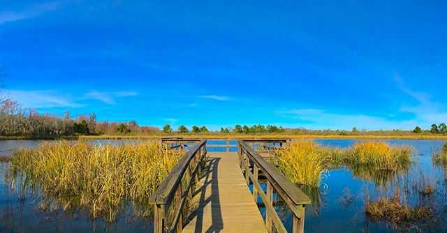 visitaugustaga's tweet image. Augusta is the perfect place for an Instagram worthy escape  (📸  IG:@kimcheebonez ) #loveaugusta @PhinizyCenter