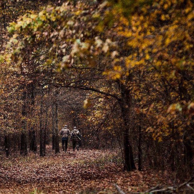 arciris_hunt's tweet photo. Hunting is LIfe!                                              Pc:@mattmccormick05 https://t.co/nN1QEWWt2Y
