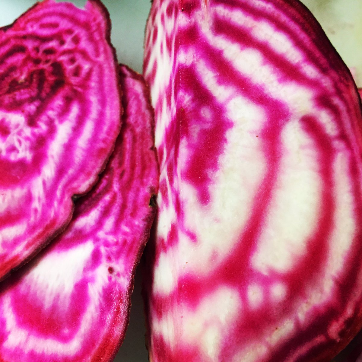 MandMJonesDeli's tweet photo. #bagpuss #candybeets #bagbeetsalad let's get chopping @RetroTV_Nerd #devonfoodhour https://t.co/5haJ8uoSkv