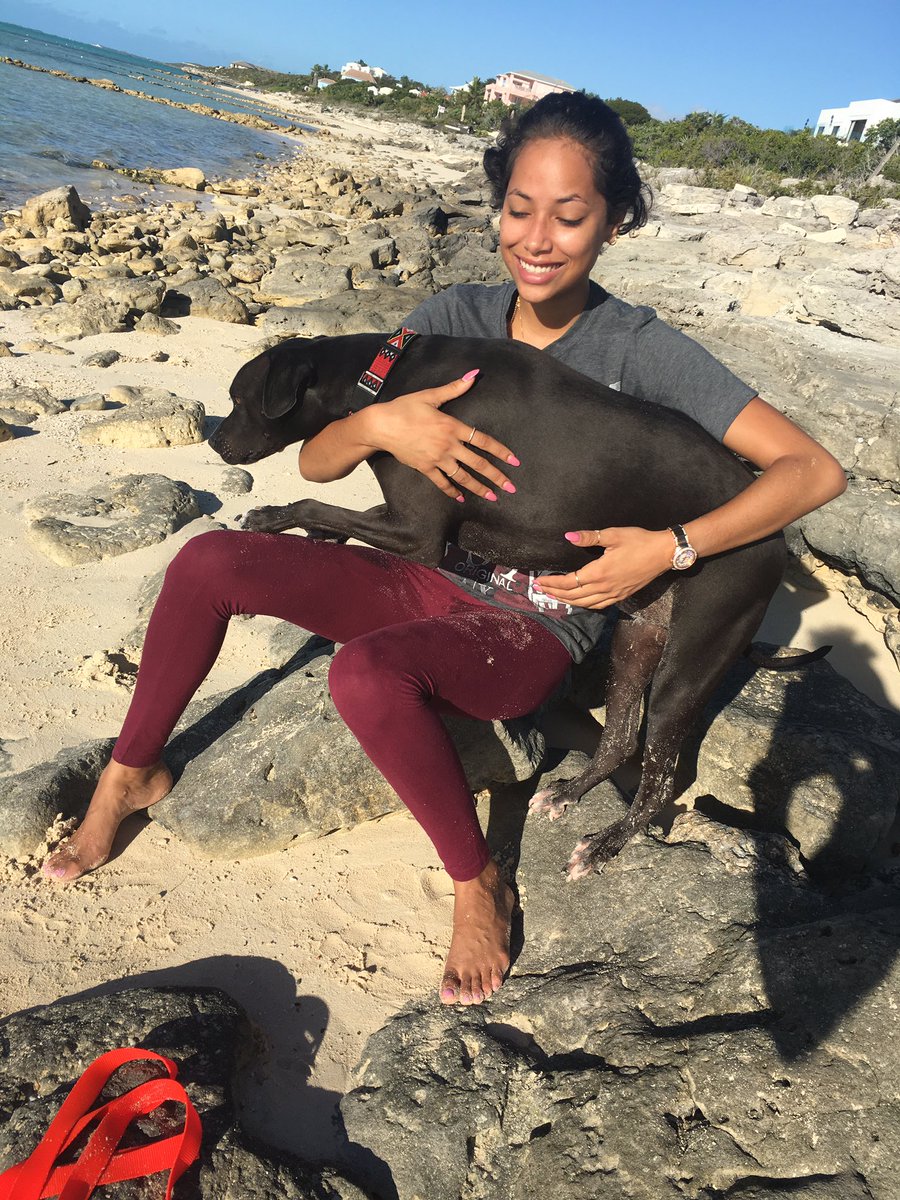 SweetAneres's tweet photo. #IslandPaws https://t.co/YlV1IJOzmO