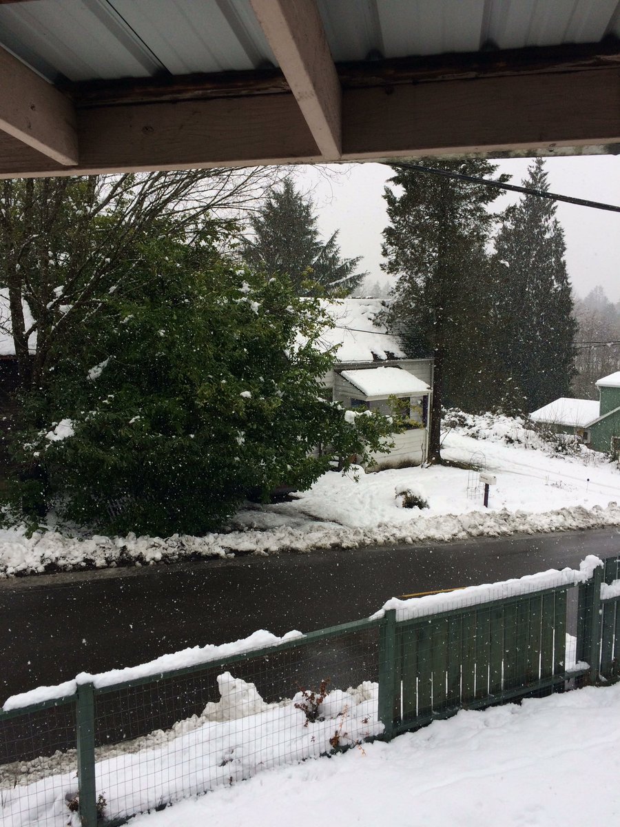 FrazierGeekSLP's tweet photo. The snow just started over again.  It's coming down hard in Black Diamond.  #KOMOsnow https://t.co/biRqb3ABsD