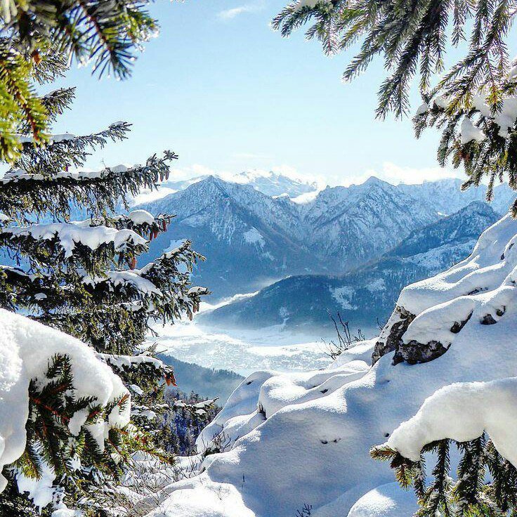 어제는 지나갔기 때문에 좋고
내일은 올 것이기 때문에 좋고
오늘은 무엇이든 할 수있기 때문에 좋습니다.