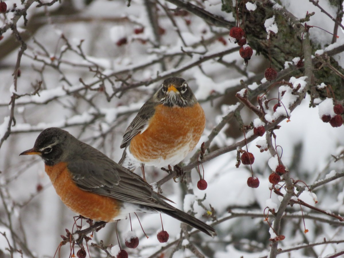 PLKlein_Author's tweet photo. "I always believe that the right song at the right moment could change history." ~ #PeteSeeger #QuickQuotes #RightSong #ChangeHistory https://t.co/Y7vn7uDiDE