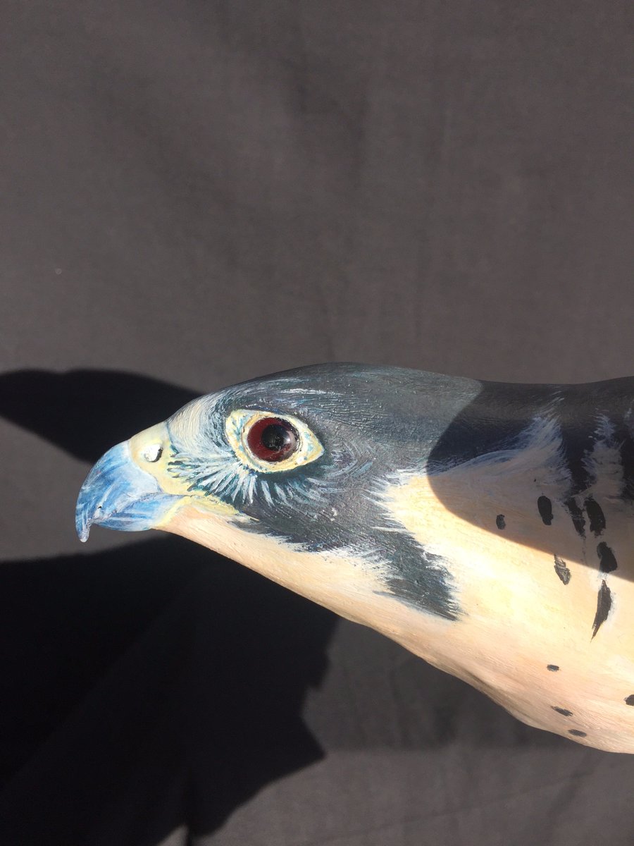 Mach2Arts's tweet photo. Mach 2 Arts has just sent out the first crate of Bird models to the FROST Science Museum in Miami! https://t.co/lrx7Eu2mii