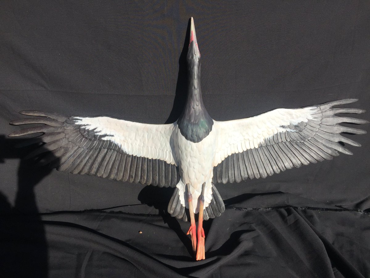 Mach2Arts's tweet photo. Mach 2 Arts has just sent out the first crate of Bird models to the FROST Science Museum in Miami! https://t.co/lrx7Eu2mii