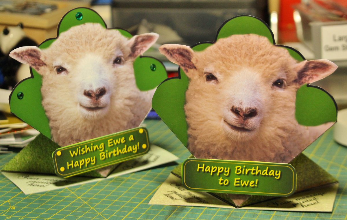 CostelloFiona's tweet photo. Aww, look at Ewe!! These sheepish cards will be popping up at #NELFTArtsDay2017!  #crafty #cards @NELFT @NELFTLetsEngage @PRWhizKSheehan https://t.co/Xam0Ah0dU5