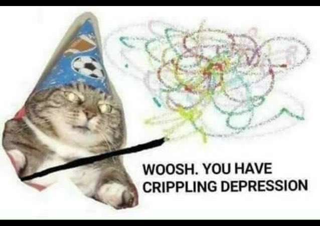 תוצאת תמונה עבור ‪Woosh. You have crippling depression.‬‏