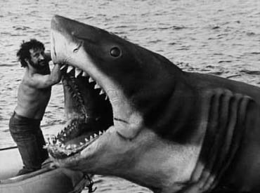 FilmFactual's tweet photo. #RandomFilmFact The only reason Bruce the shark appears so little in the 1975 Movie Jaws is because the animatronic shark rarely worked! https://t.co/faM9Vugkiq