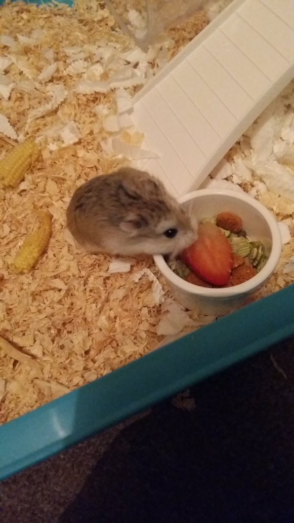 cumberbatchhan's tweet image. These two melt my heart 😍