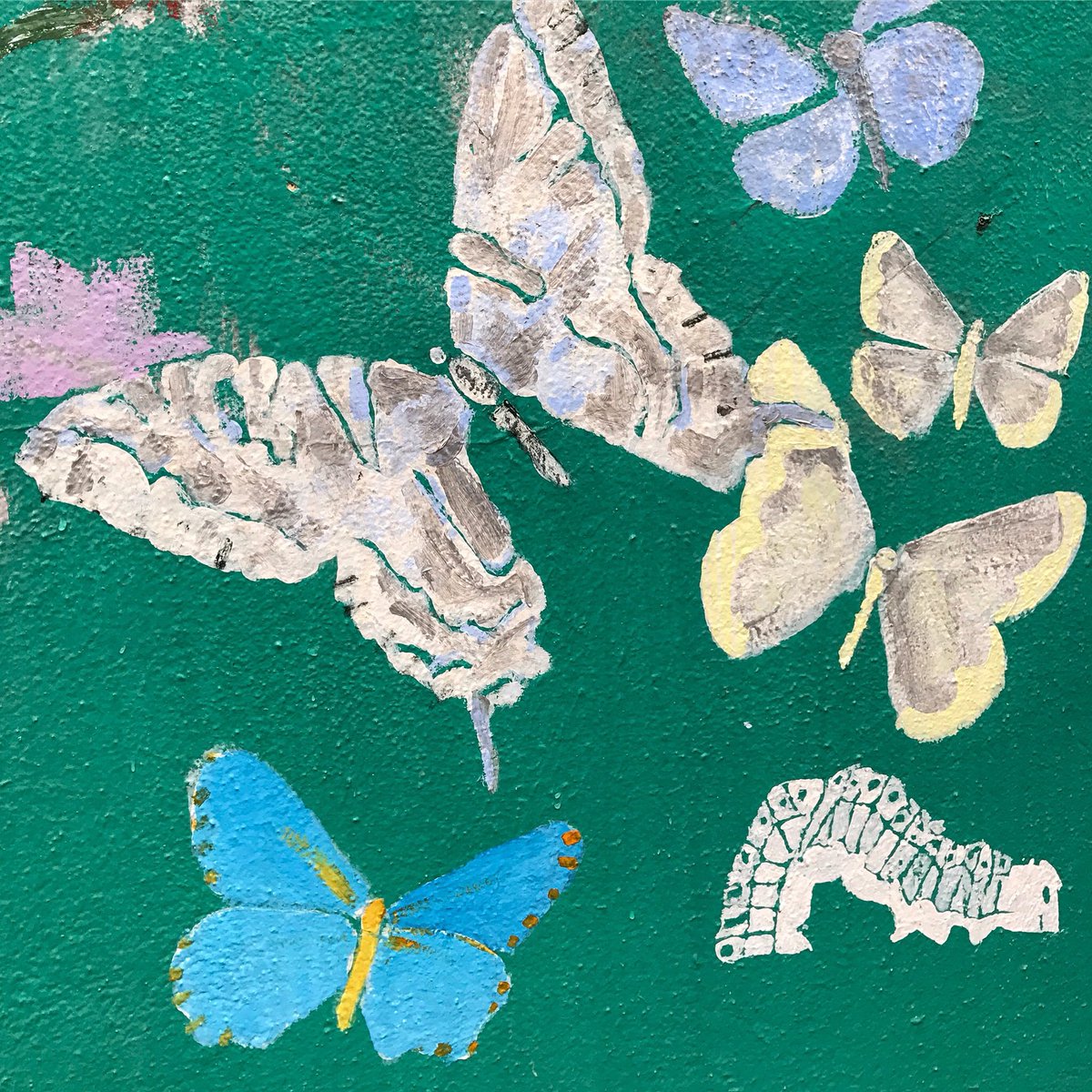 BSNCancerF's tweet photo. Curious why we used butterflies in the BSNCF logo? https://t.co/WiofrAXpwy #cancer #bsncf #cancersupport https://t.co/FkF7Ef6E60