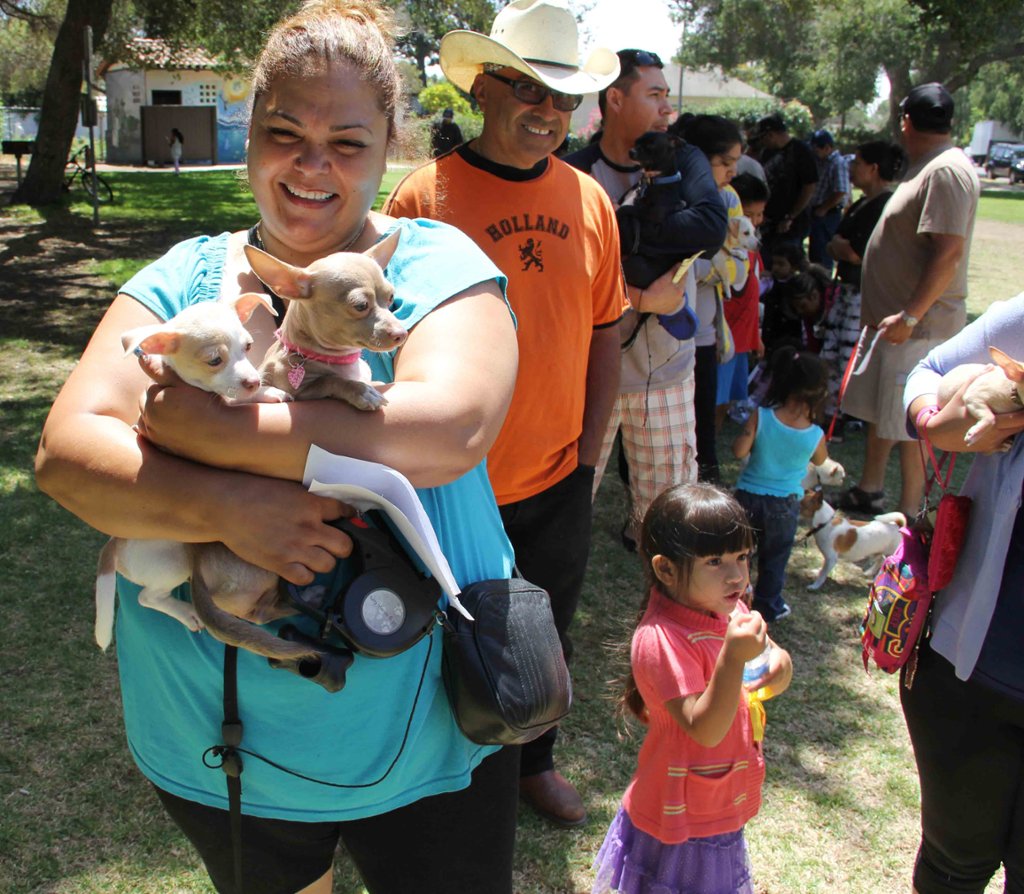 Care4Paws's tweet photo. $5 rabies clinic for dogs and cats in Santa Barbara on Sunday, Feb. 12, at Eastside Neighborhood Park from 11am-2pm. Find out more: https://t.co/0it7lnnrl8