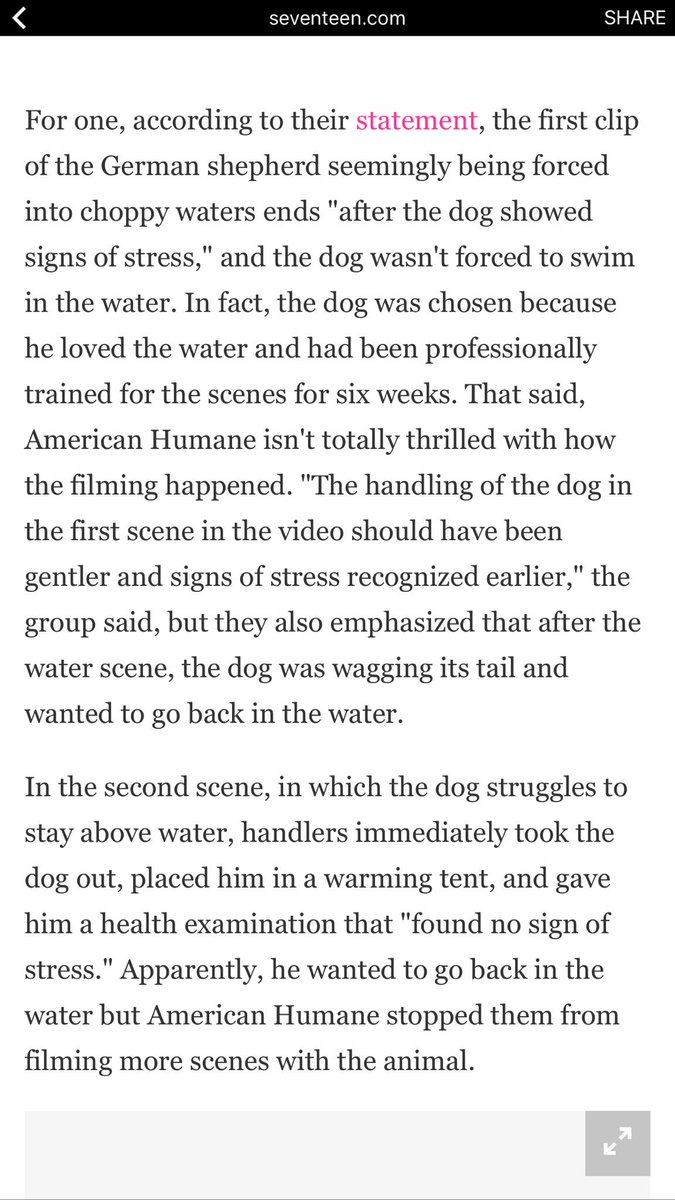 brynnsadventure's tweet photo. #ADogsPurpose was not abuse! Finally cleared, what I had been saying the whole time! #ADogsPurposeIsNotAbuse โค๐ถ https://t.co/Ib099Y27KV