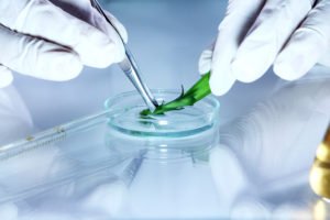 CannaRegulate's tweet photo. NEW contaminant testing alert for #mold &amp; #yeast by the #MED for #marijuana. We can help you interpret this change!  https://t.co/zkVVkpkXX8 https://t.co/uDpHJtbe0n