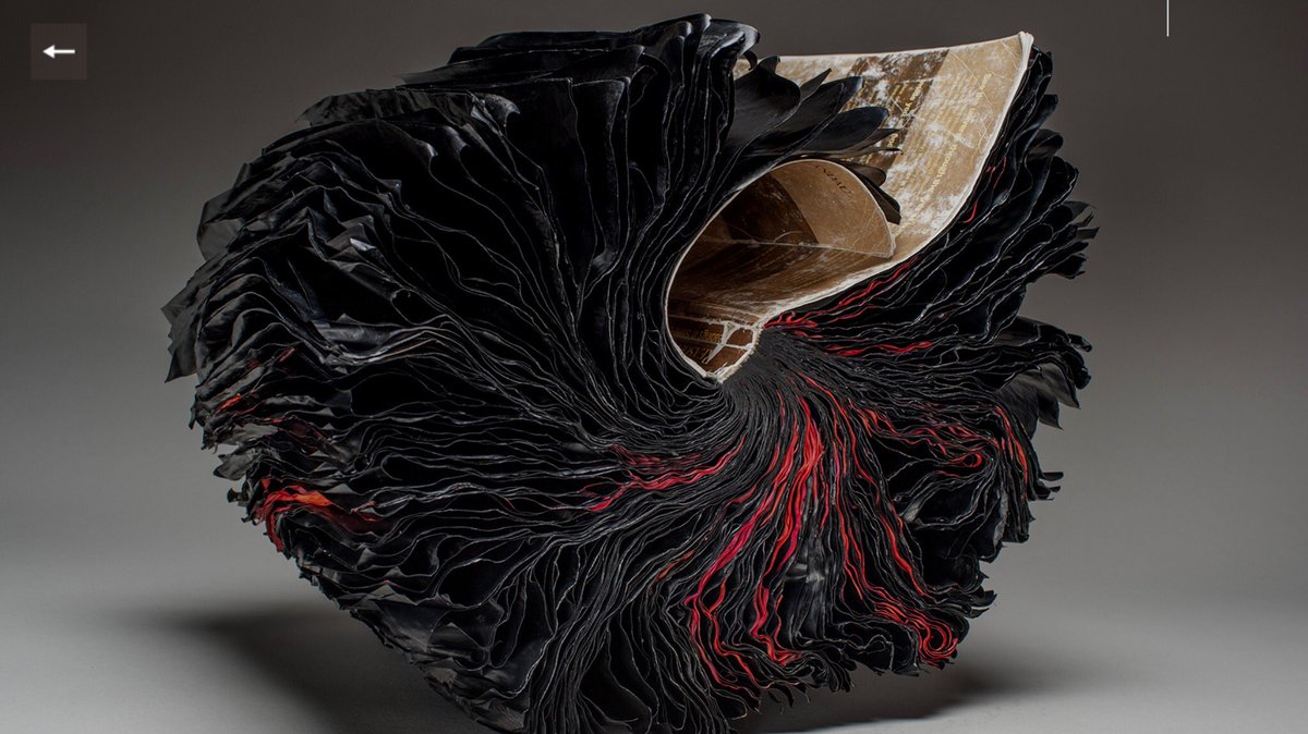 Phoenix9Lee's tweet photo. https://t.co/eWT9AGOrh9 #bookart https://t.co/DJDmEIlb3B