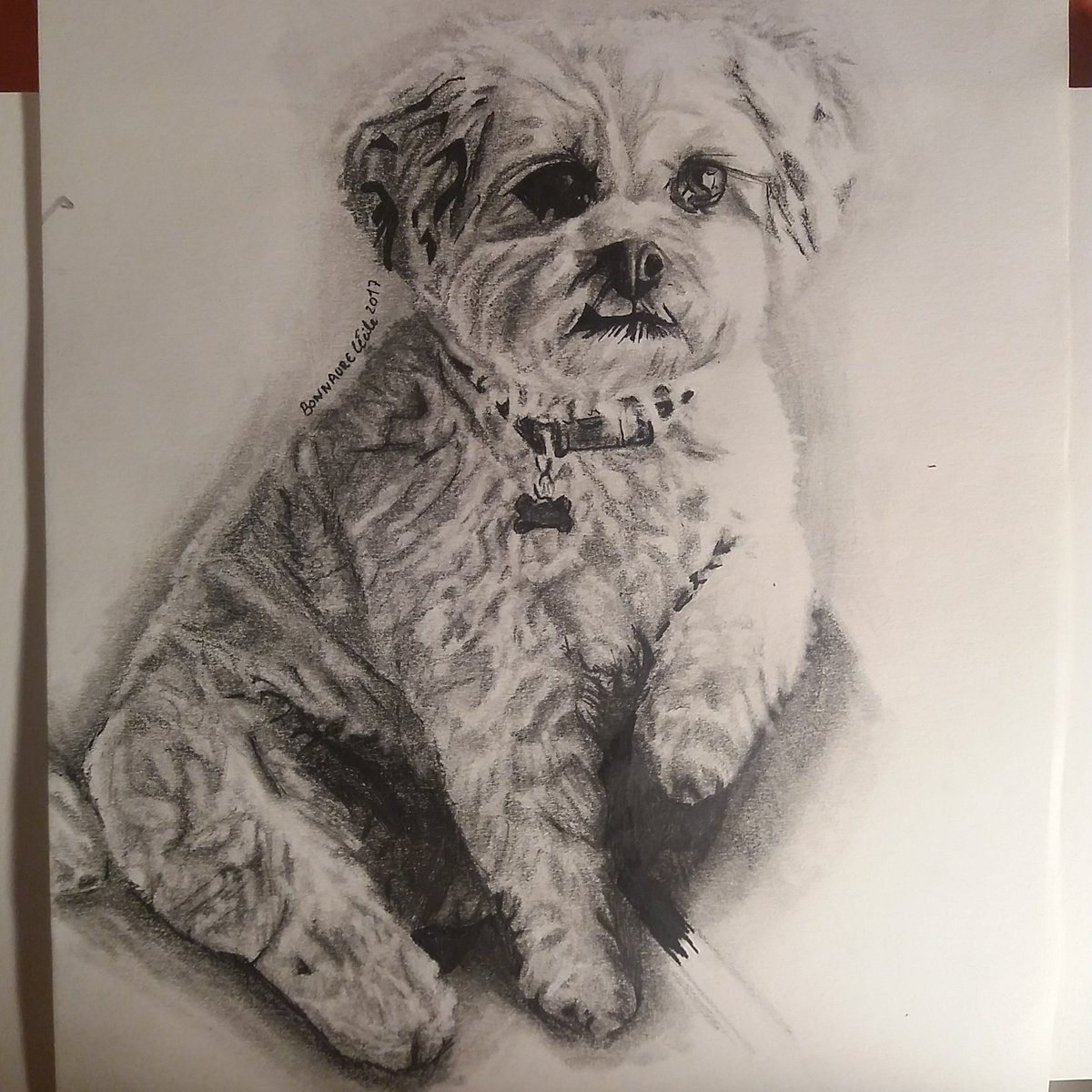BitterSwift13's tweet photo. So here's my drawing of tiger 😁😁 around 12 hours of drawing 😂😧😩 hope you like it @veronicamerrell and @VanessaMerrell @MerrellTwins https://t.co/fhey3KbhP5