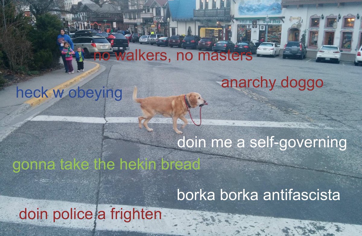 Amy Rodriguez tweet media