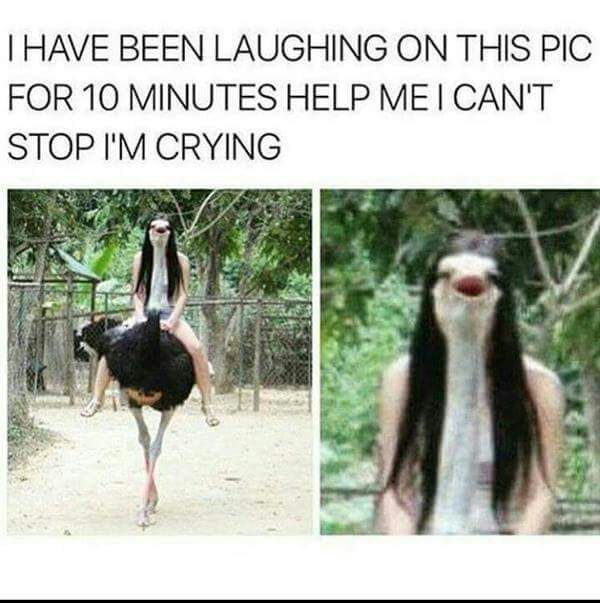 LifeSkill3's tweet image. 