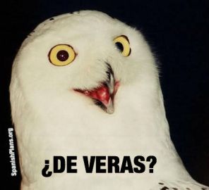 JajaSpanish's tweet photo. ¿Deveras*? = Really?

Guy 1: Soy leche
Guy 2: ¿Deveras?

* "Deveras" vs. "De veras" is disputed https://t.co/rIzP1gyjZe