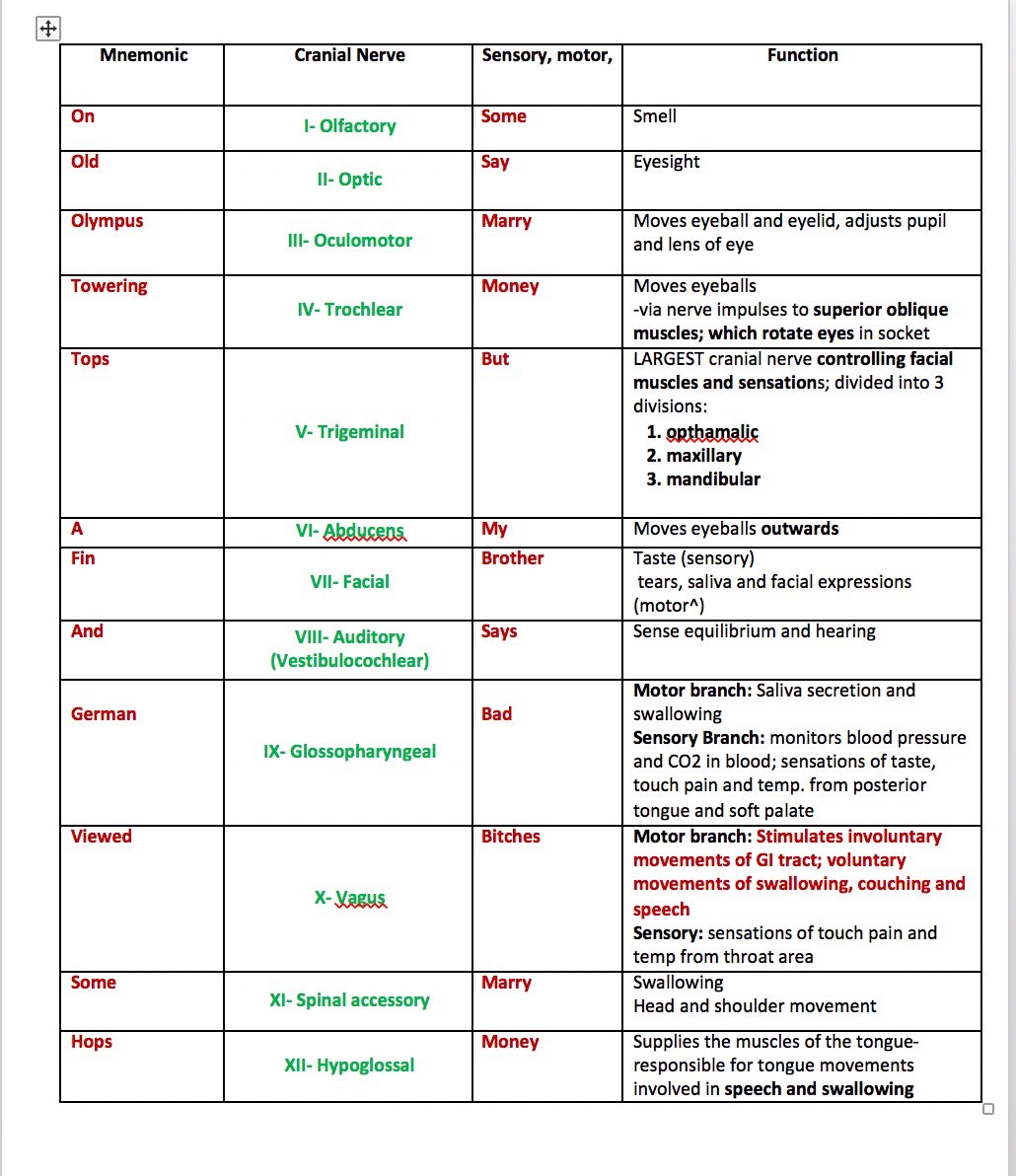 Makeitstickcranialnerves