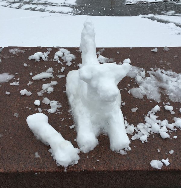 Halo0035's tweet photo. @KING5Seattle #k5winter Has anyone seen my dog? https://t.co/9GjQ8O7zHt