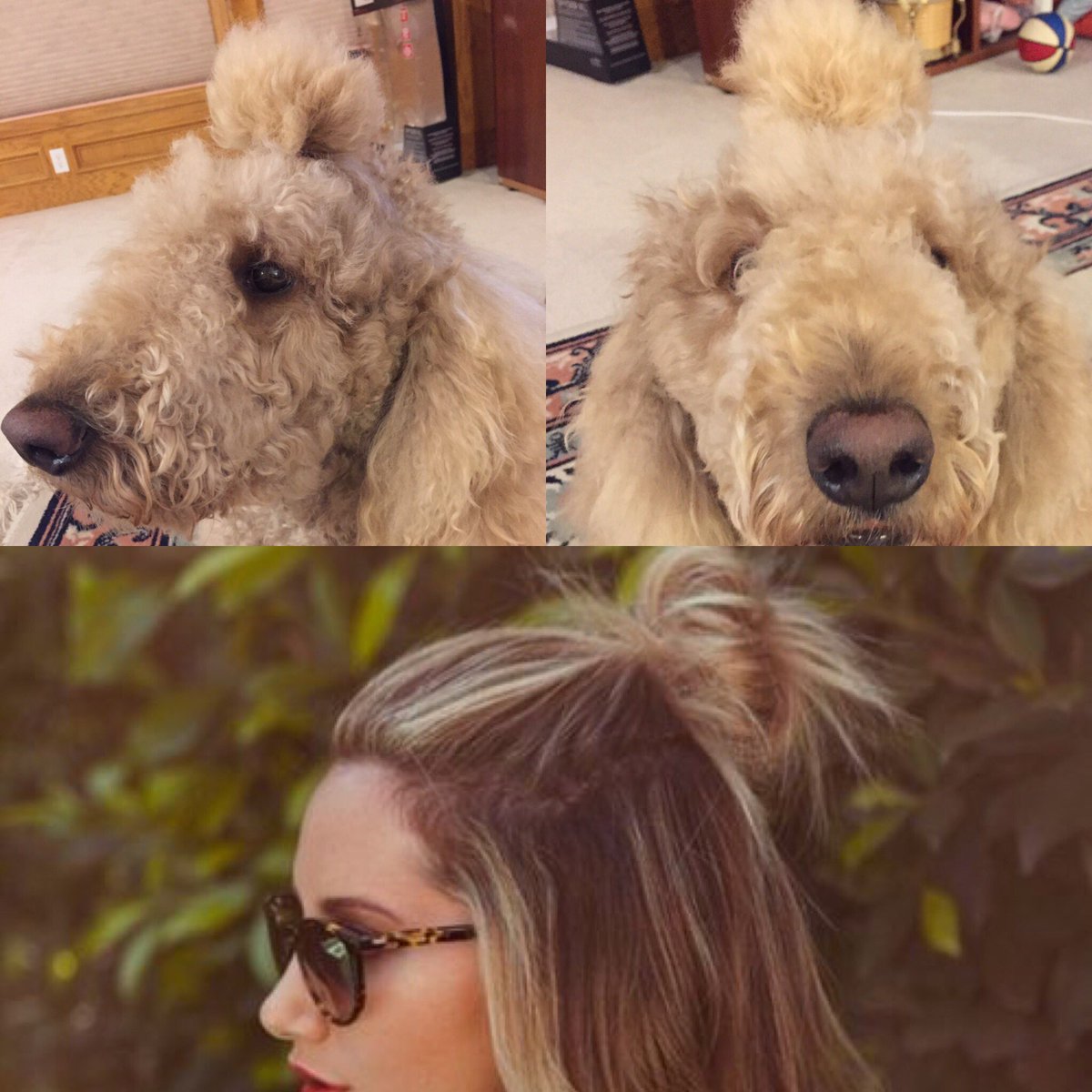 juney_uan's tweet photo. Bottom: how you want to look.                Top: how you actually look, but you feel like the bottom one https://t.co/NkZHDj2qLv