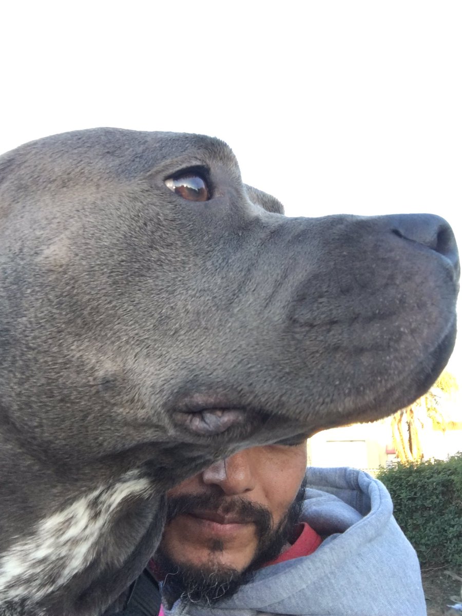 Diaz4days's tweet photo. Love, love, love this girl. https://t.co/q224ltUdfh