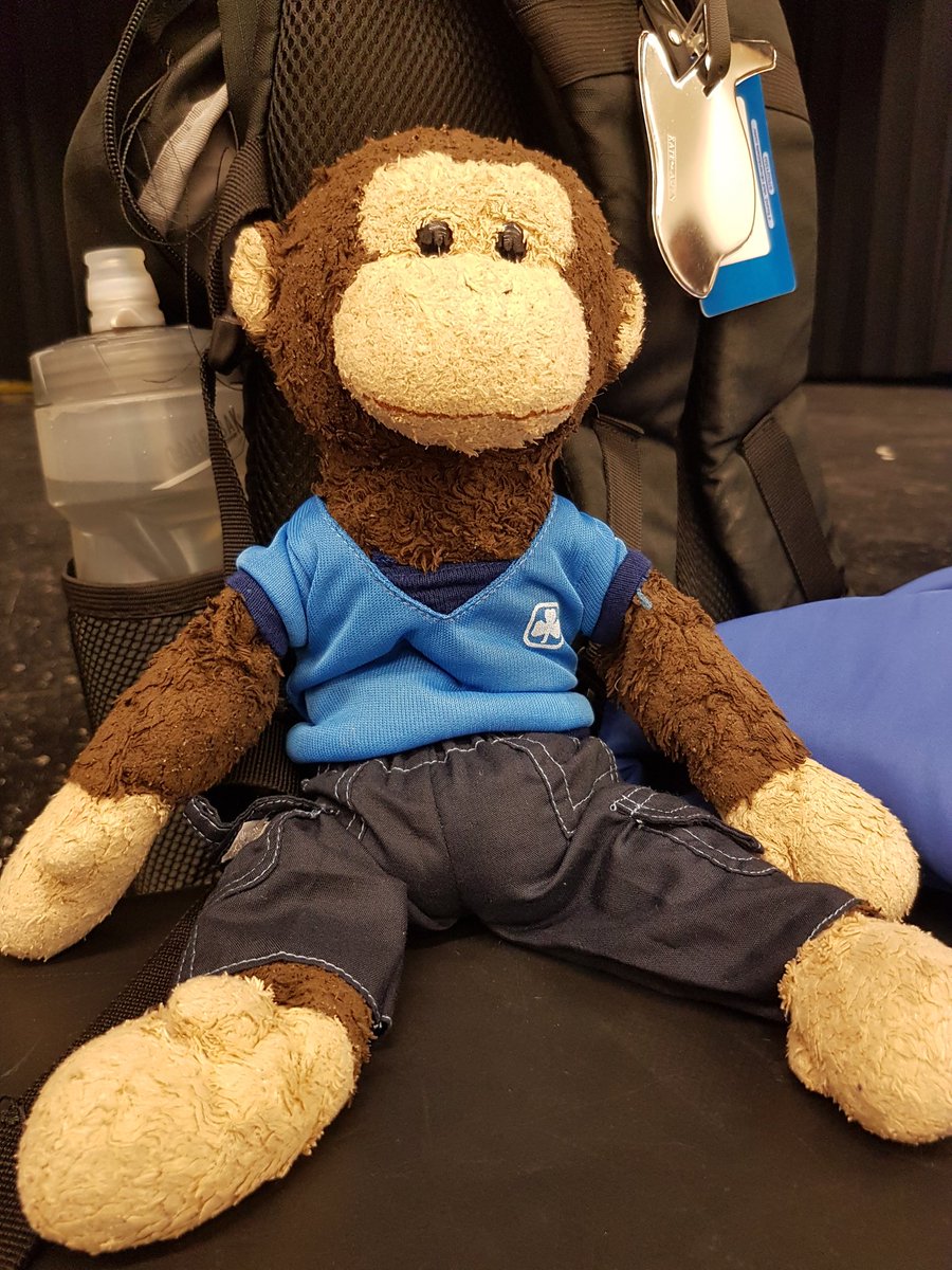 t_m_burden's tweet photo. Bobo the Monkey came to visit the @girlguidesofcan 283rd Running Unit tonight. #RunLikeAGirl #GuidesDoStuff https://t.co/OzgTSBva7G