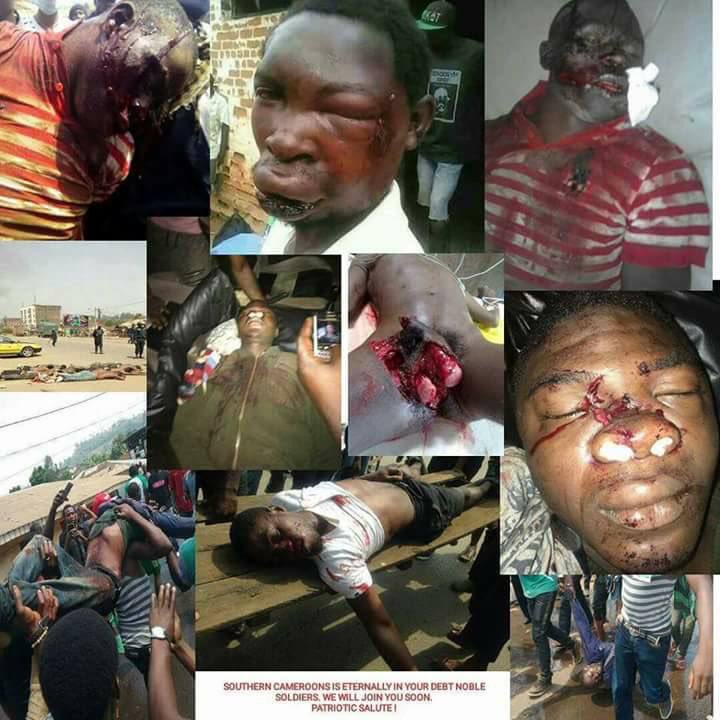 celerey2002's tweet photo. #BringBackOurInternet #stopgenocide #savesoutherncameroon #boycott11febuary @BBCAfrica @BBCBreaking @UNHumanRights @PutinRF_Eng @Snowden https://t.co/MaI3OC74jO