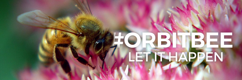 MindOfNeo's tweet photo. @CristianBee1 @OrbitClan #OrbitBee use this if you support him https://t.co/59TIPapF0O