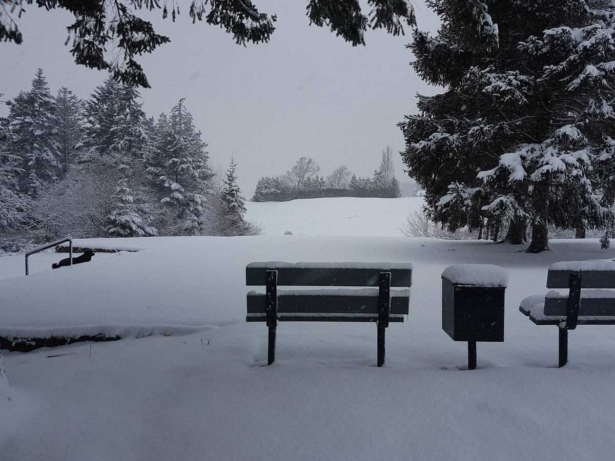 Metchosingolf's tweet photo. Don't think there will be any golf for a while. At least the bar will be open each day #yyjsnow https://t.co/FNbgssFoSJ