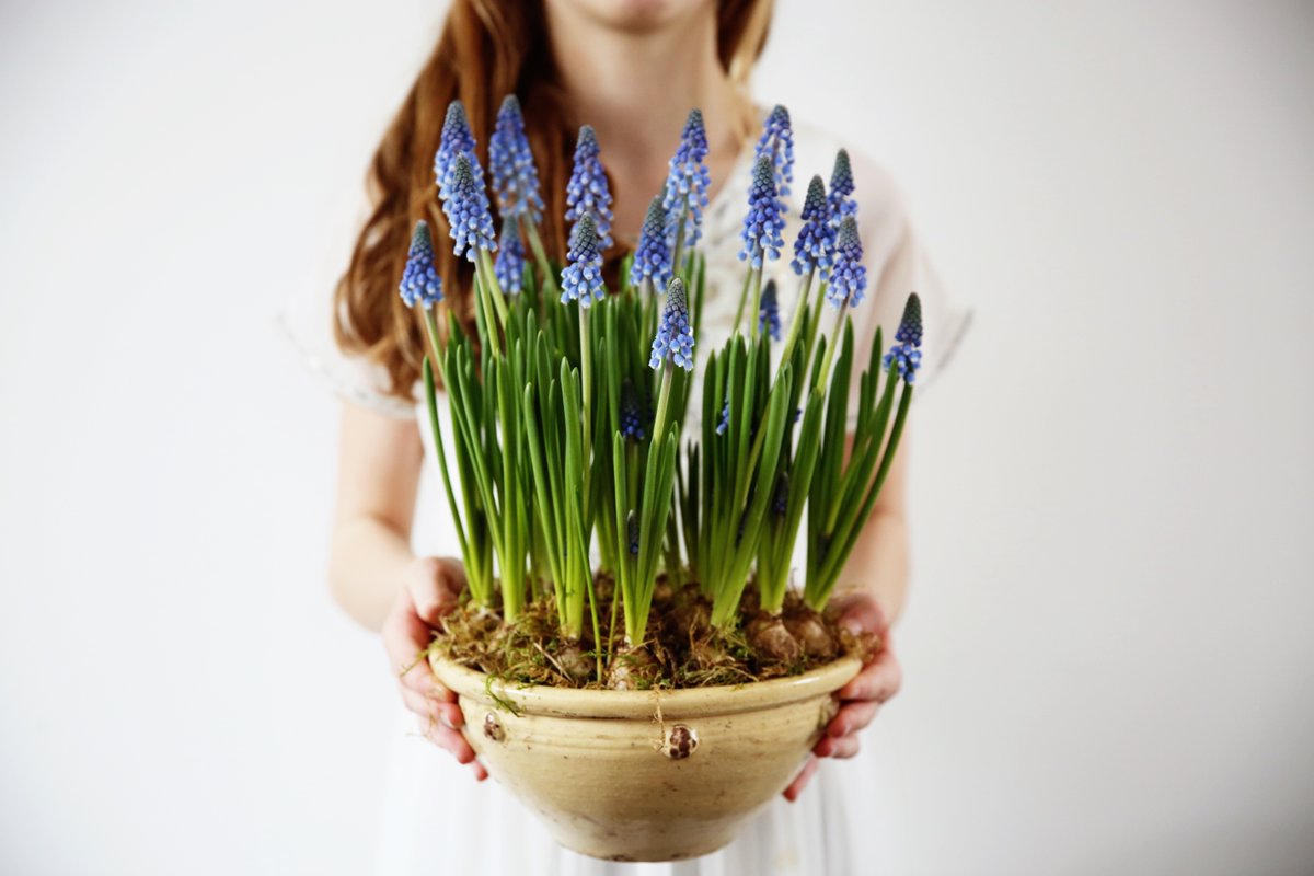 Happy Tuesday lovely people! xo